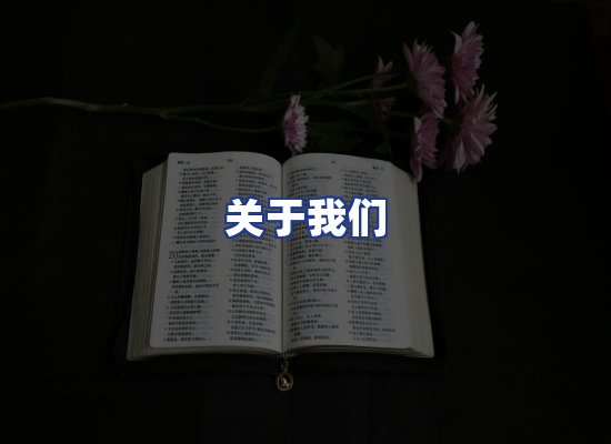 专业团队